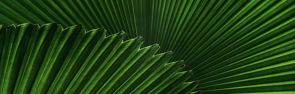 Soft natural foliage
